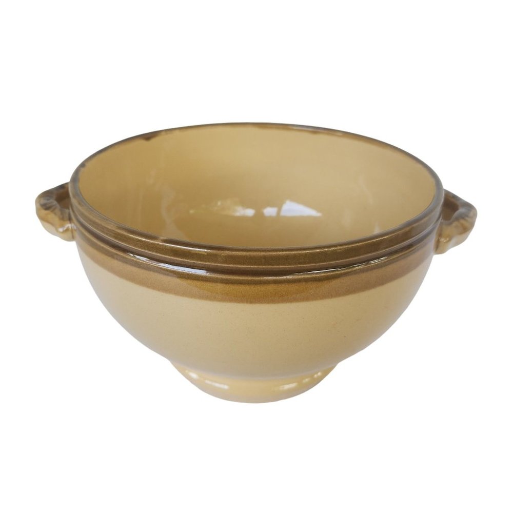 Vintage 1960s TG Green Church Gresley Granville Pottery Lg Bowl Made in England